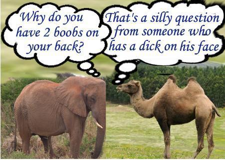 elephant camel joke